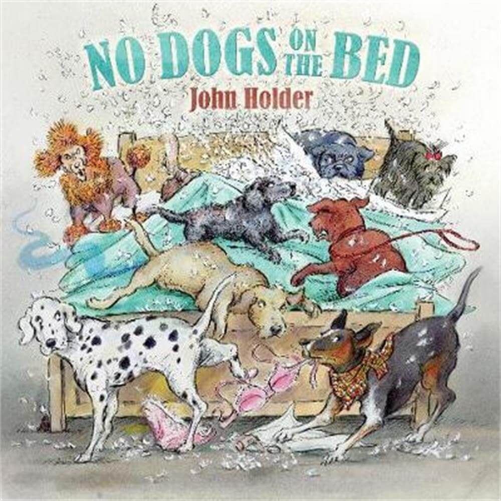 No Dogs on the Bed (Hardback) - John Holder